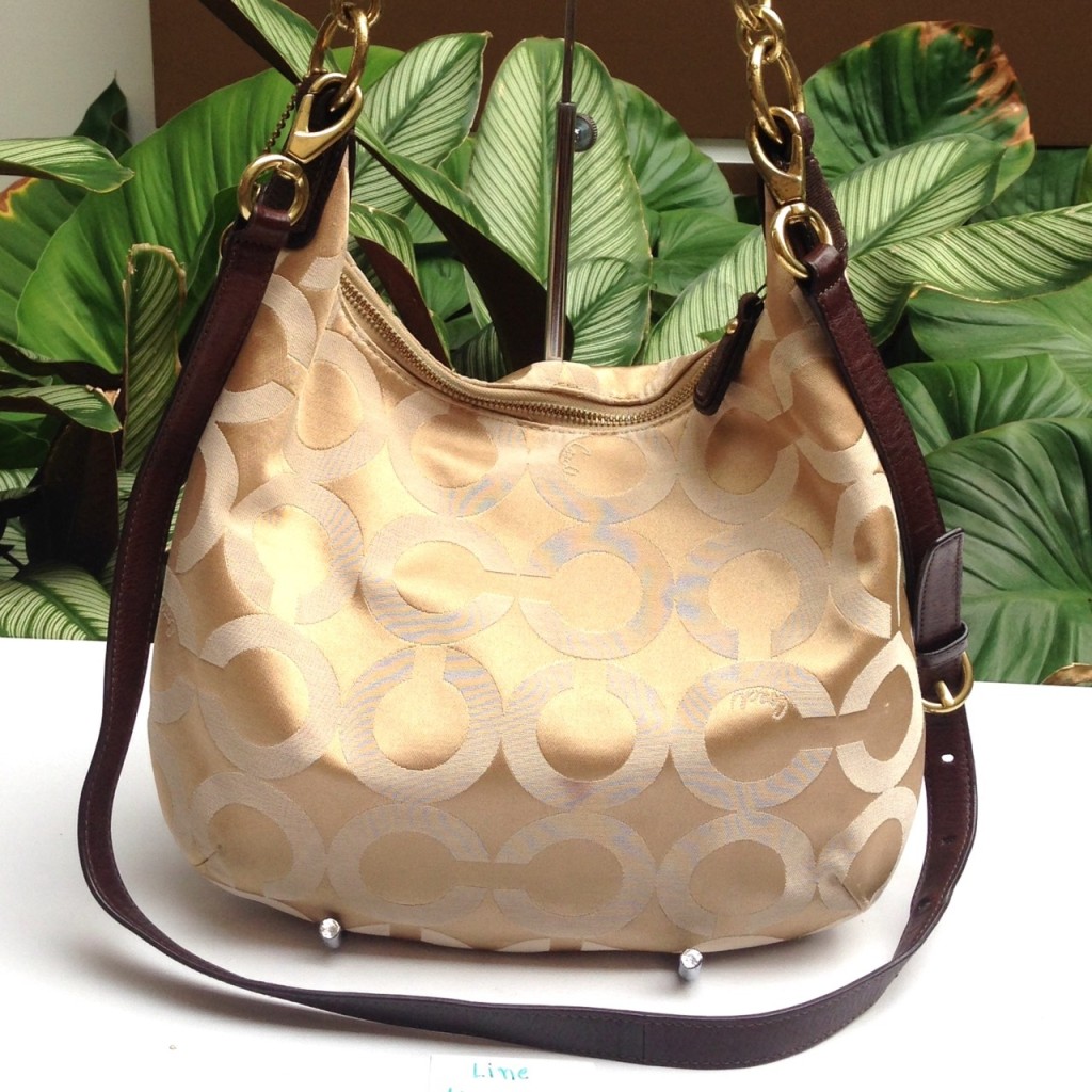 Coach Signature Kristin OP Art Sateen Hobo Handbag F19331