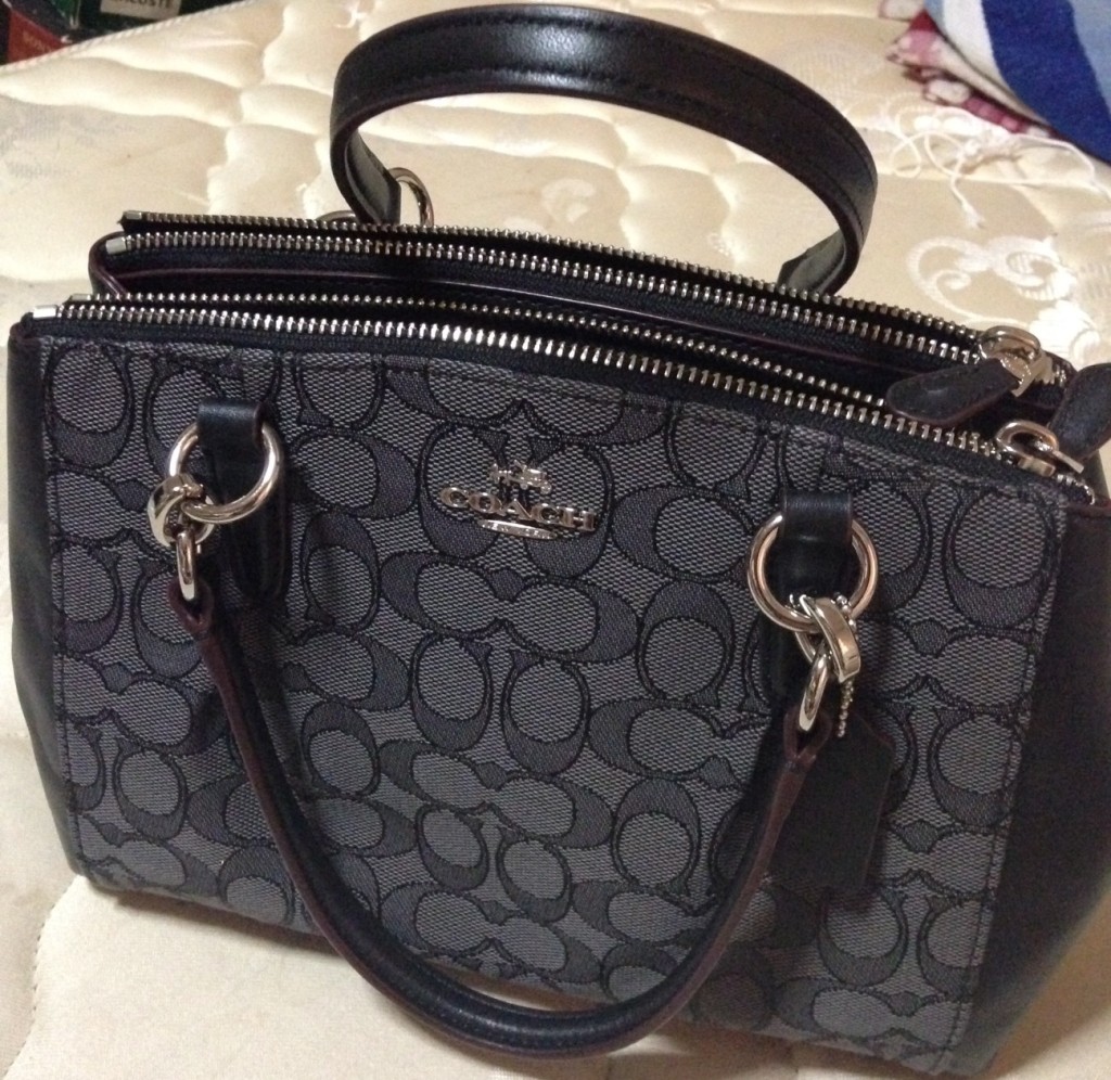 COACH MINI CHRISTIE CARRYALL WITH PLEATS IN OUTLINE SIGNATURE F36719
