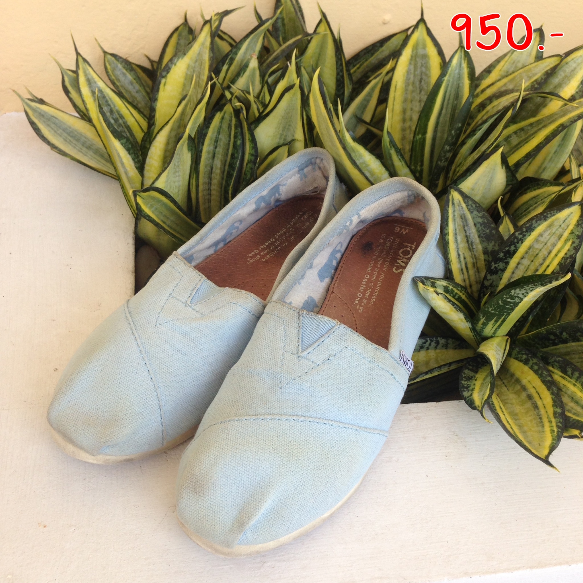 "ราคา 950 บาท  รองเท้า TOMS สีฟ้าอ่อน สินค้ามือ2  size US6"