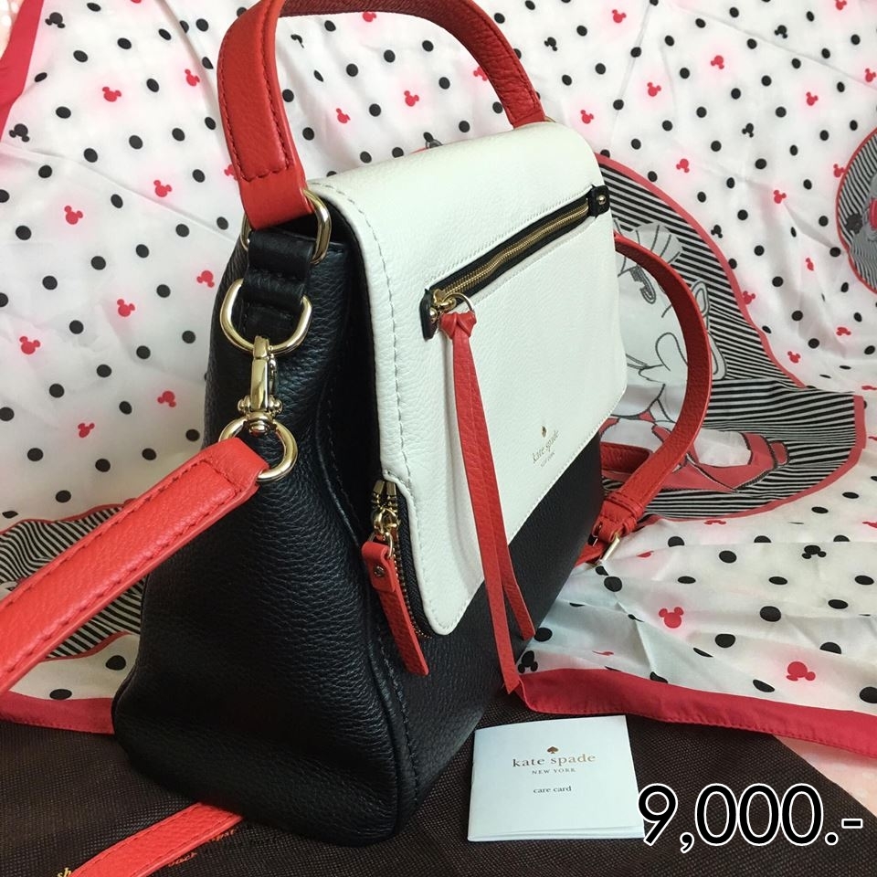  9,000บาท ยี่ห้อ : kate spade ขนาด : 9.7"h x 12.9"w x3.7"d รายละเอียดเพิ่มเติม : งาน shop พร้อมถุงผ้าและcare card มือ1